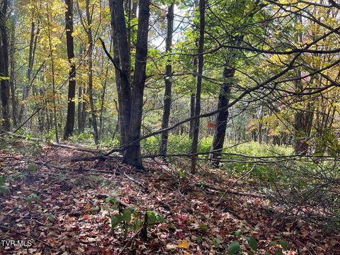 Vacant Land For Sale - TBD Modock Northeast Road<br/> Johnson County, Trade, TN 37691