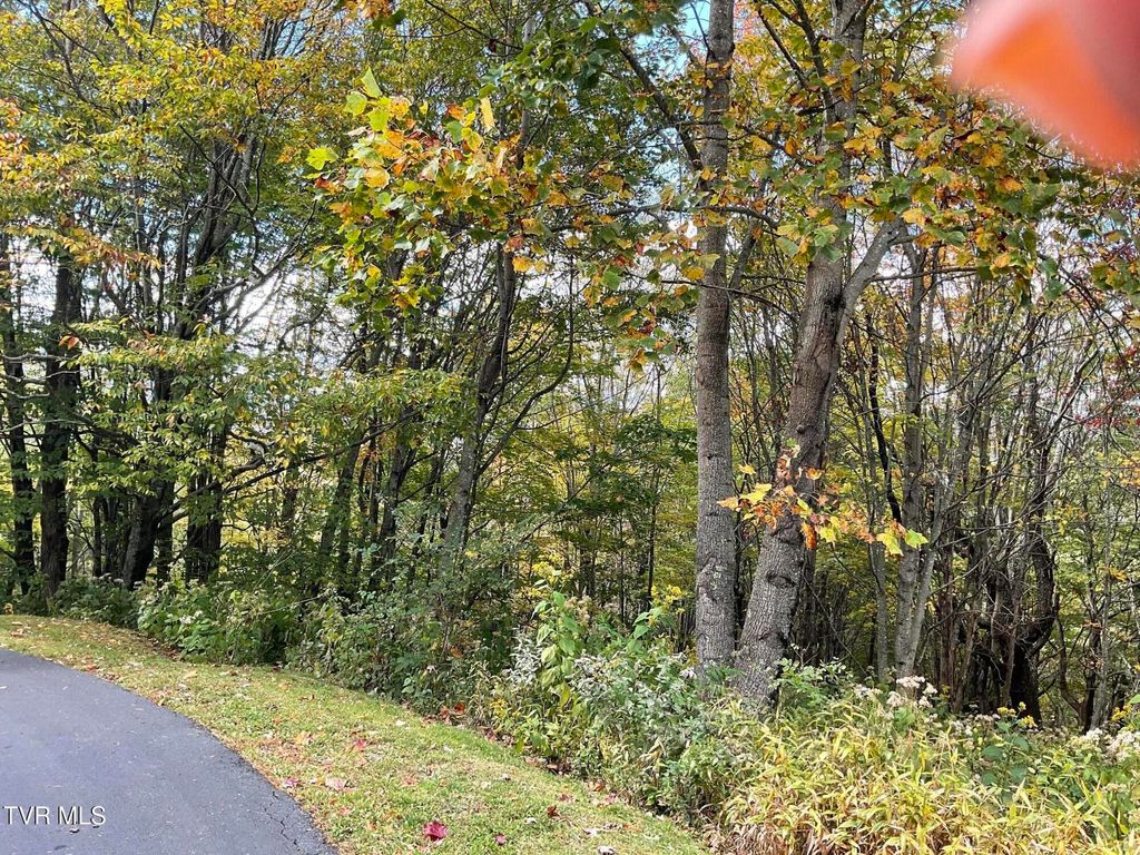 Photo of Tbd Modock Northeast Road, Trade, TN 37691 (MLS # 9987103)