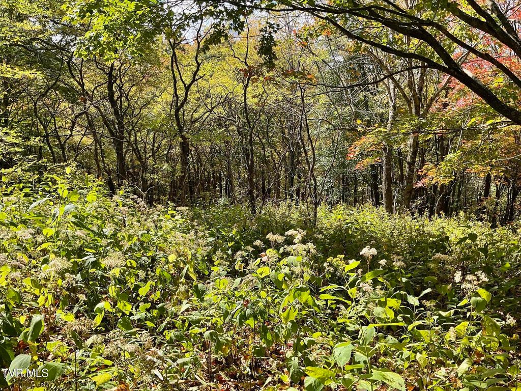 Photo of Tbd Modock Northeast Road, Trade, TN 37691 (MLS # 9987103)