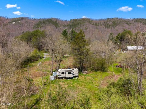 Vacant Land For Sale - 290 Cave Springs Road<br/> Rogersville, TN 37857