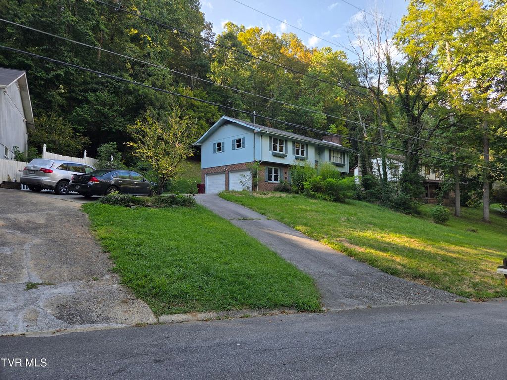 Photo of 205 Tamassee Drive, Johnson City, TN 37601 (MLS # 9989906)