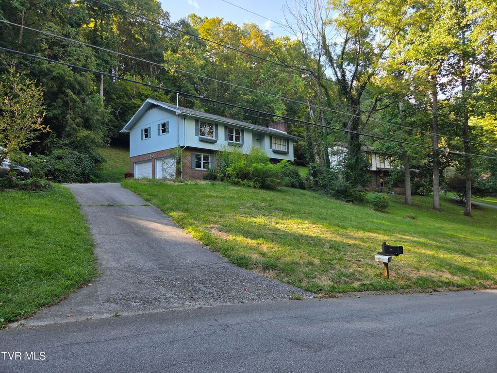 Photo of 205 Tamassee Drive, Johnson City, TN 37601 (MLS # 9989906)