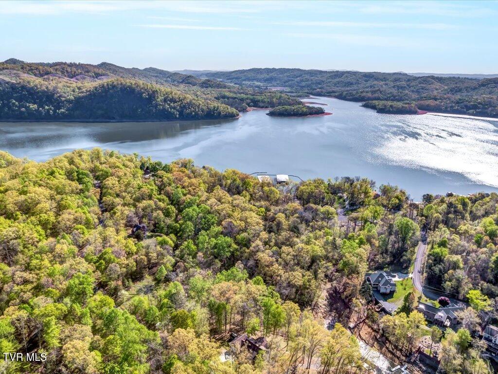 351 Chelaque Way, Mooresburg, Tennessee image 31