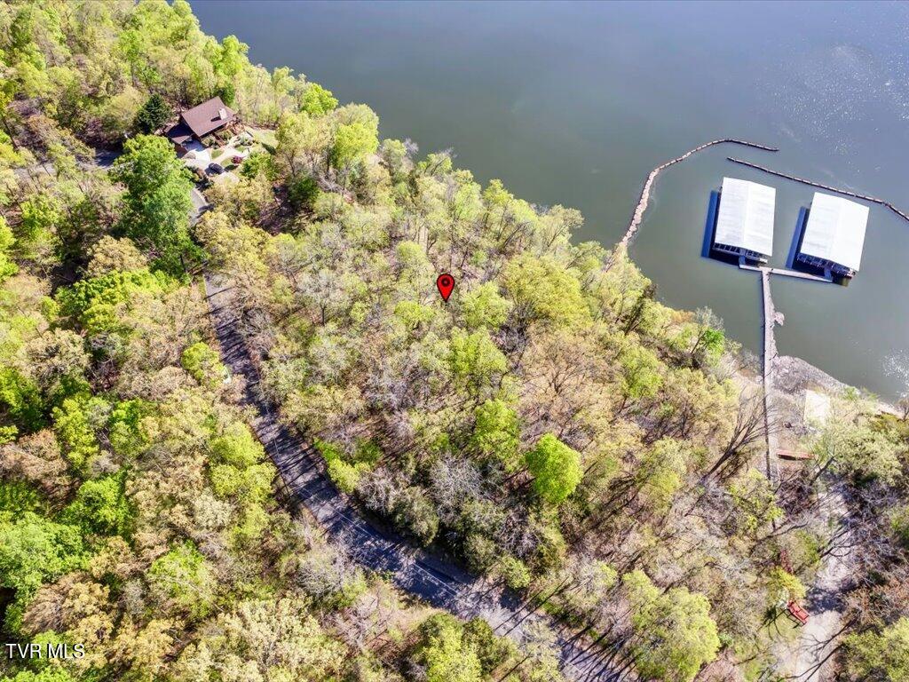 351 Chelaque Way, Mooresburg, Tennessee image 9