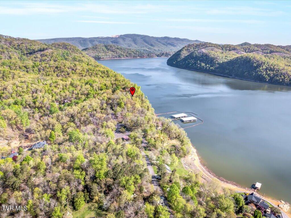 351 Chelaque Way, Mooresburg, Tennessee image 16