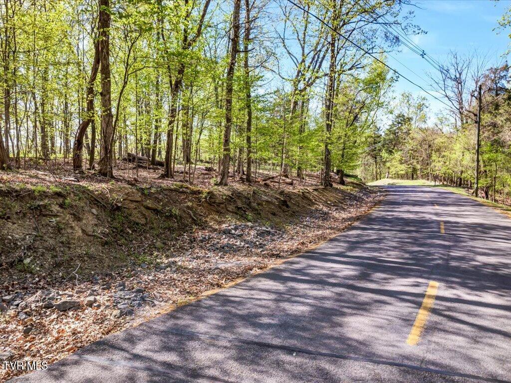 351 Chelaque Way, Mooresburg, Tennessee image 6