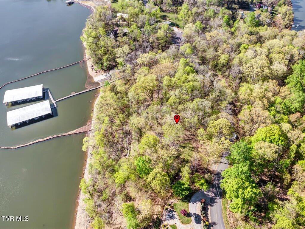351 Chelaque Way, Mooresburg, Tennessee image 13