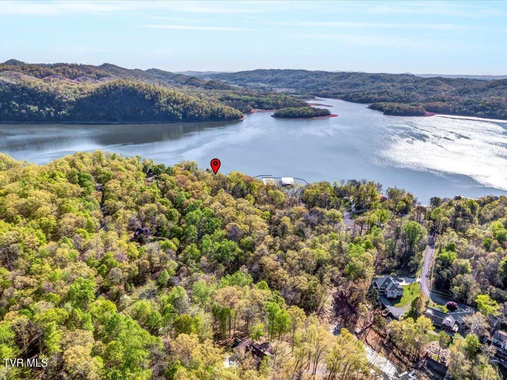351 Chelaque Way, Mooresburg, Tennessee image 4