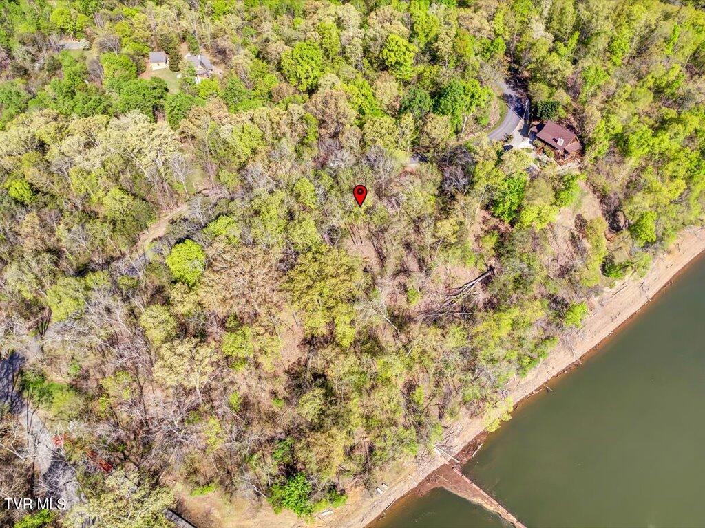 351 Chelaque Way, Mooresburg, Tennessee image 18