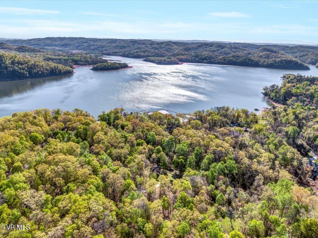 351 Chelaque Way, Mooresburg, Tennessee image 30