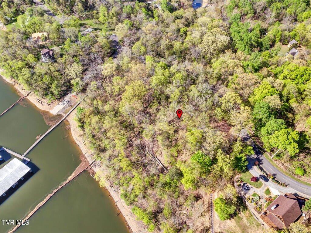 351 Chelaque Way, Mooresburg, Tennessee image 12