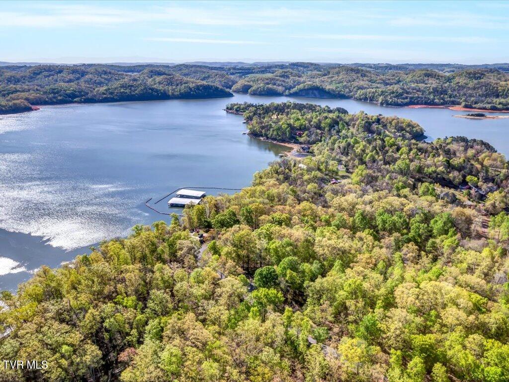 351 Chelaque Way, Mooresburg, Tennessee image 29