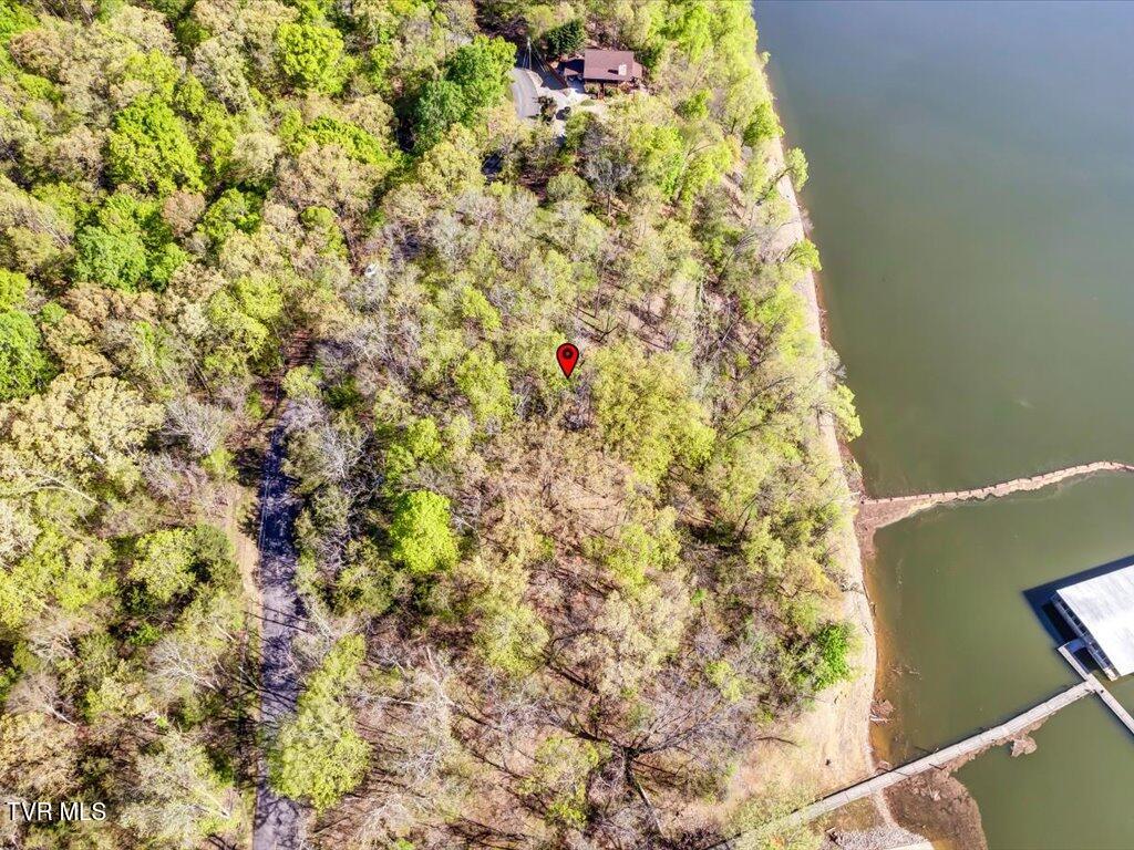351 Chelaque Way, Mooresburg, Tennessee image 10