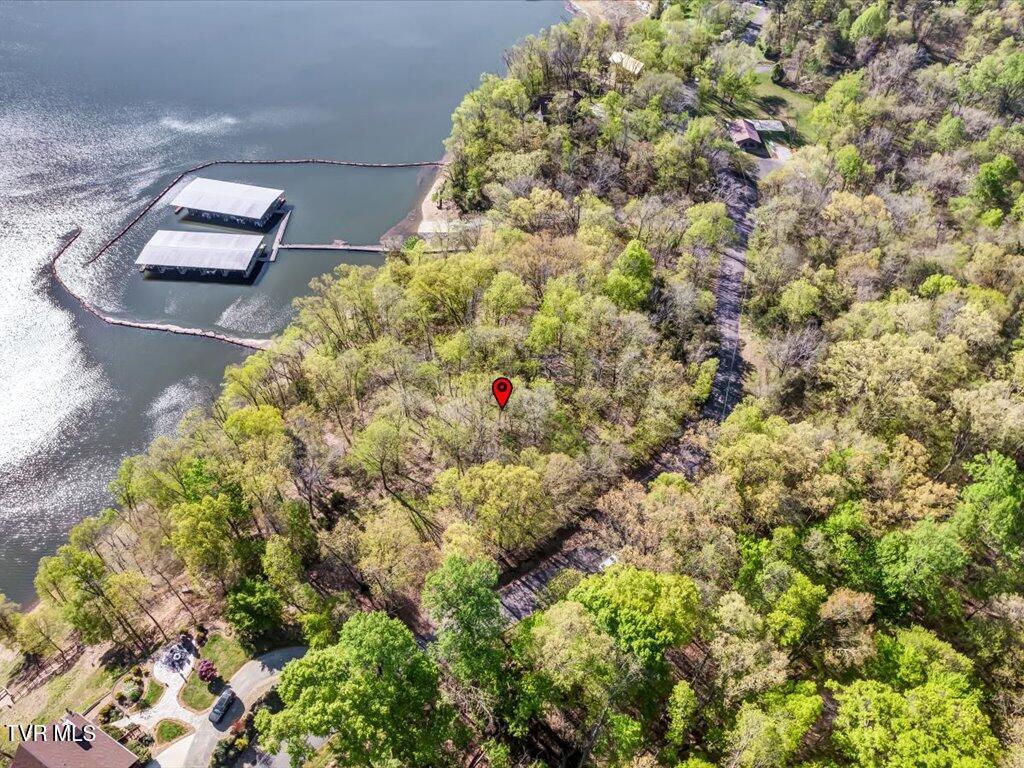 351 Chelaque Way, Mooresburg, Tennessee image 14