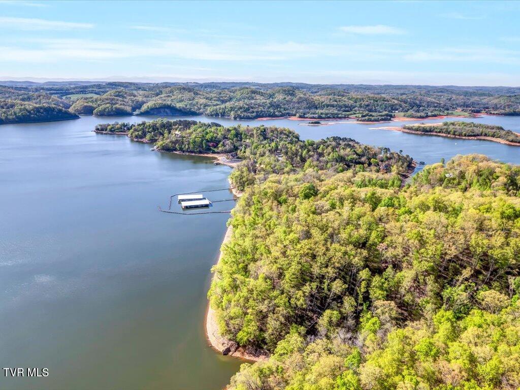 351 Chelaque Way, Mooresburg, Tennessee image 34