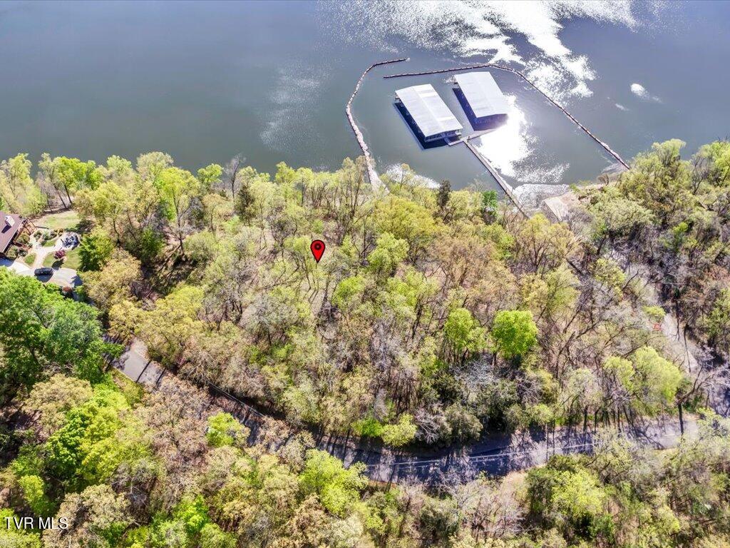 351 Chelaque Way, Mooresburg, Tennessee image 8