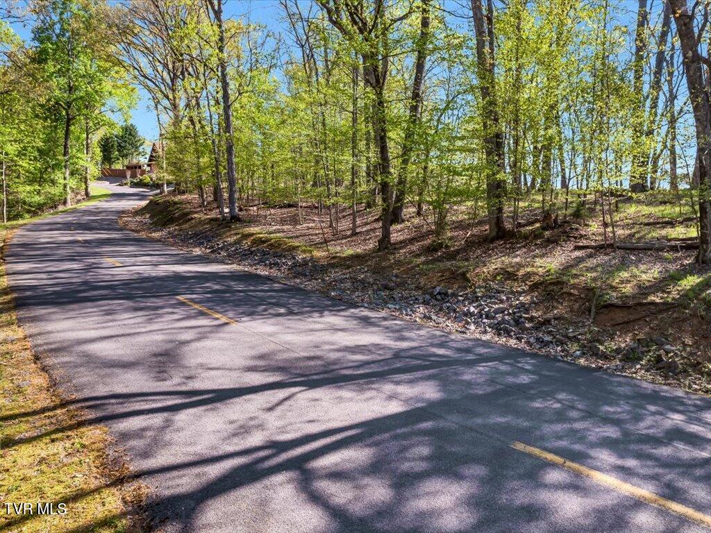 351 Chelaque Way, Mooresburg, Tennessee image 1