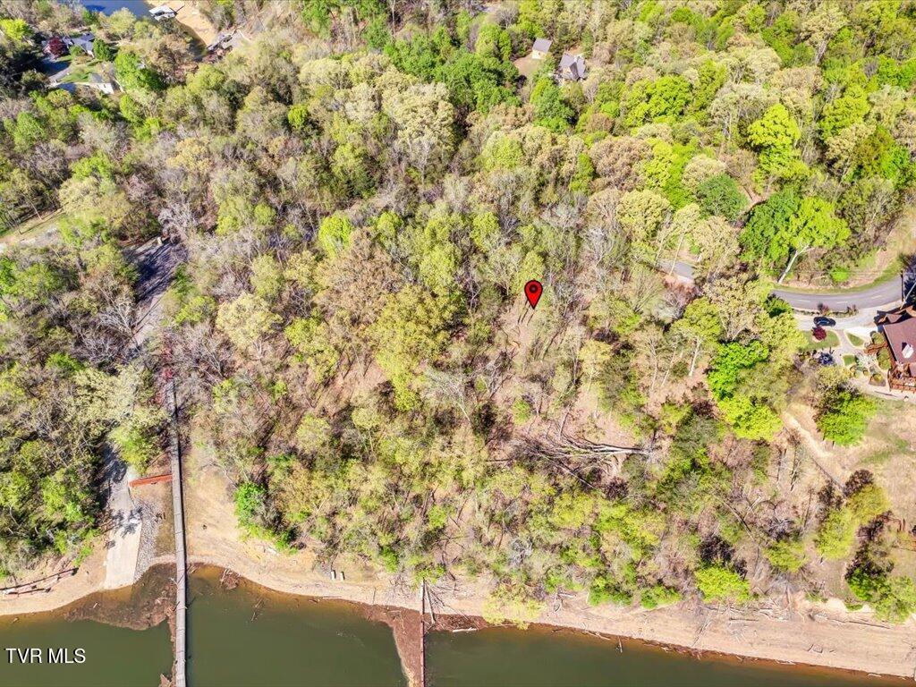 351 Chelaque Way, Mooresburg, Tennessee image 11