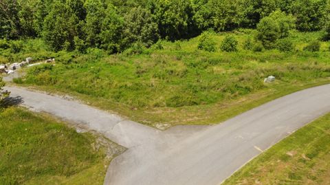 Vacant Land For Sale - TBD Creekside Court #LOT 216<br/> Bristol, VA 24202