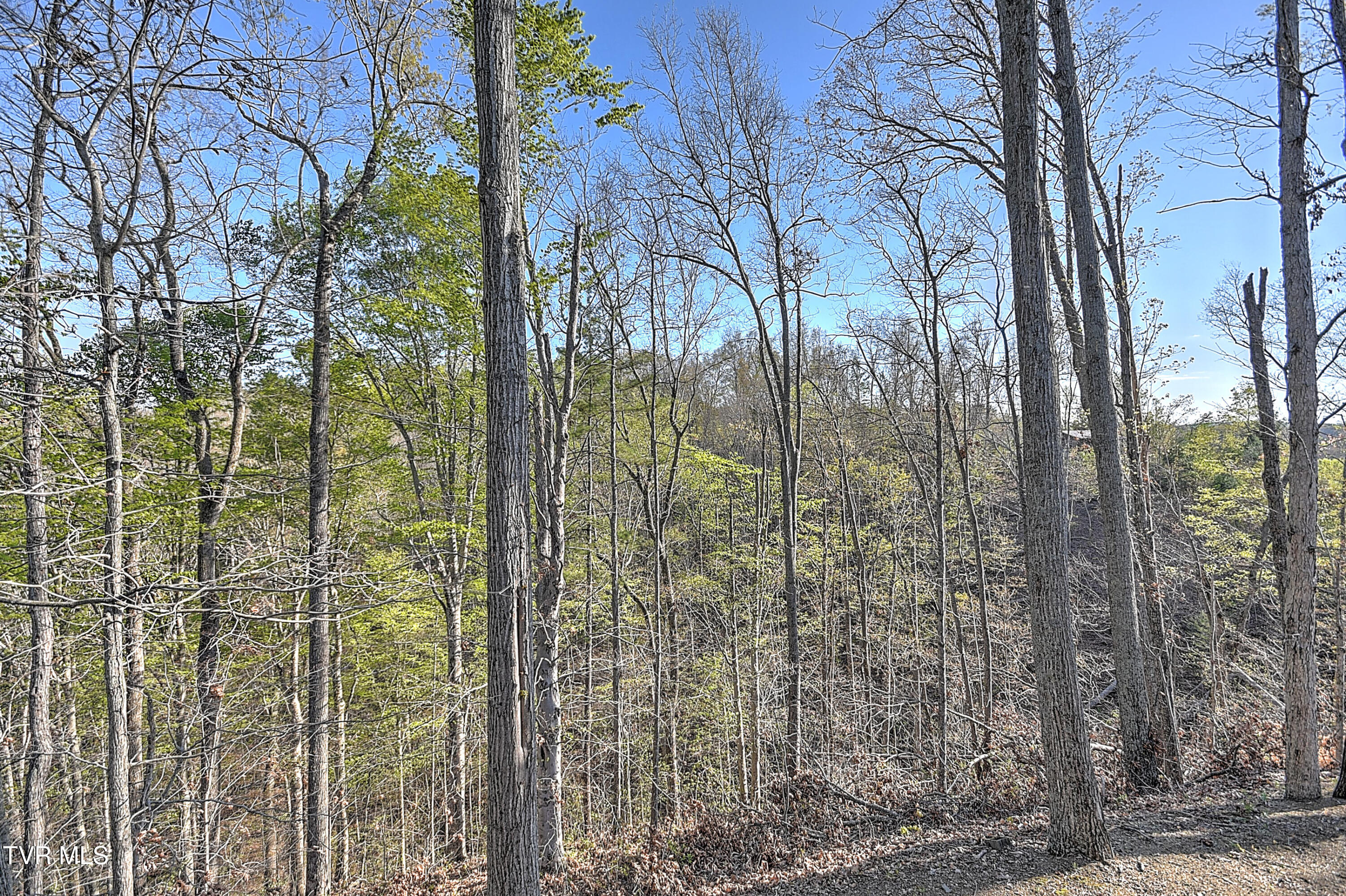 901 Bristol Caverns Highway, Bristol, Tennessee image 36