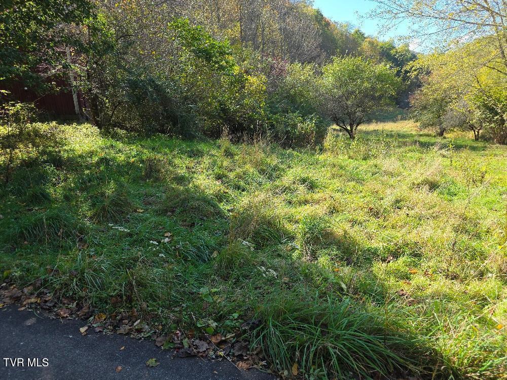Photo of Tbd Miller Road, Trade, TN 37691 (MLS # 10002226)