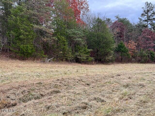 168 Buzzard Roost Road, Bulls Gap, Tennessee image 25