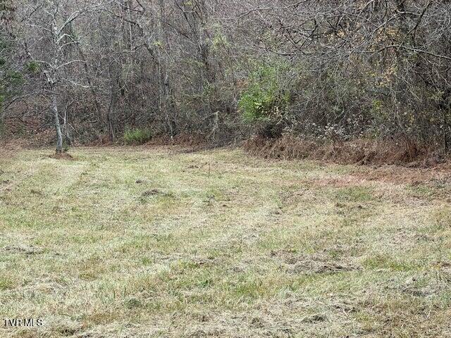 168 Buzzard Roost Road, Bulls Gap, Tennessee image 22