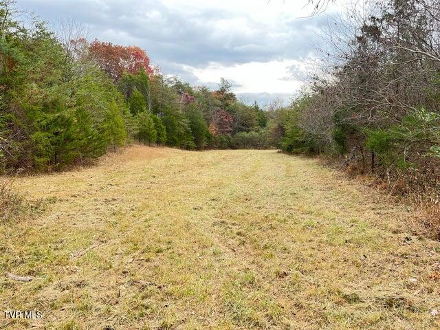 168 Buzzard Roost Road, Bulls Gap, Tennessee image 31