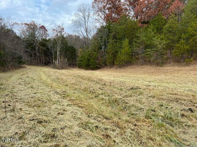 168 Buzzard Roost Road, Bulls Gap, Tennessee image 27