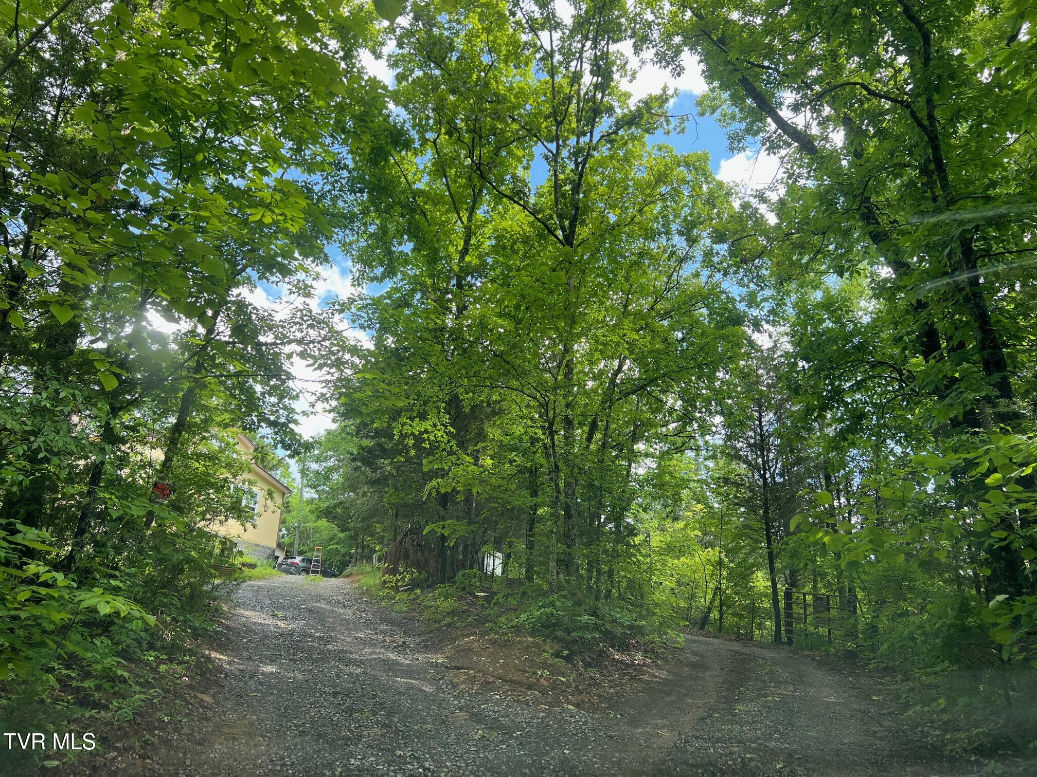 168 Buzzard Roost Road, Bulls Gap, Tennessee image 38