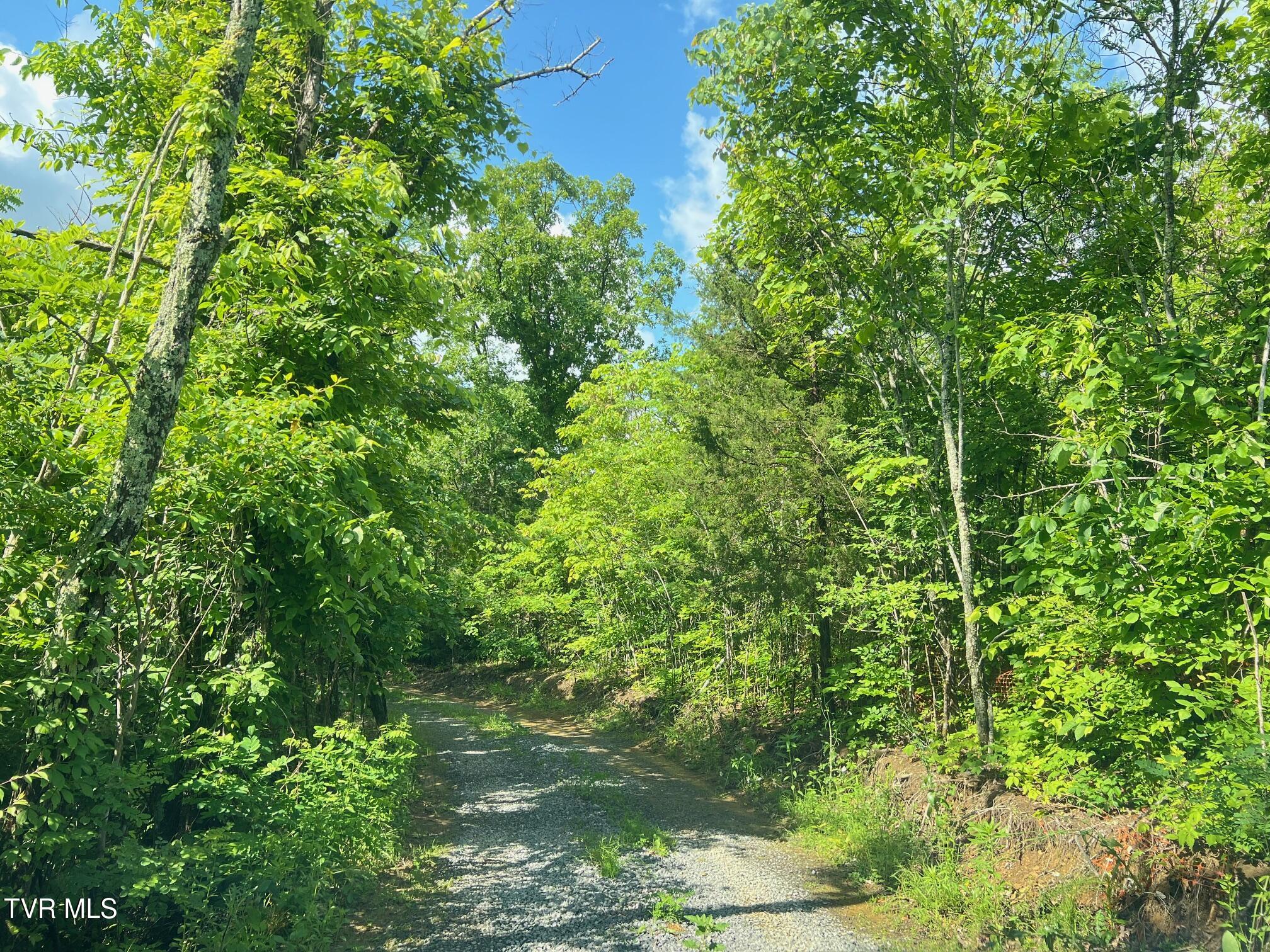 168 Buzzard Roost Road, Bulls Gap, Tennessee image 15