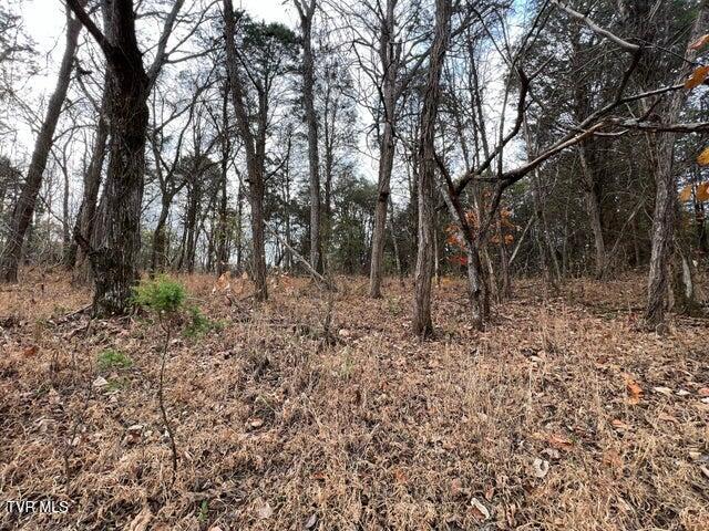 168 Buzzard Roost Road, Bulls Gap, Tennessee image 20