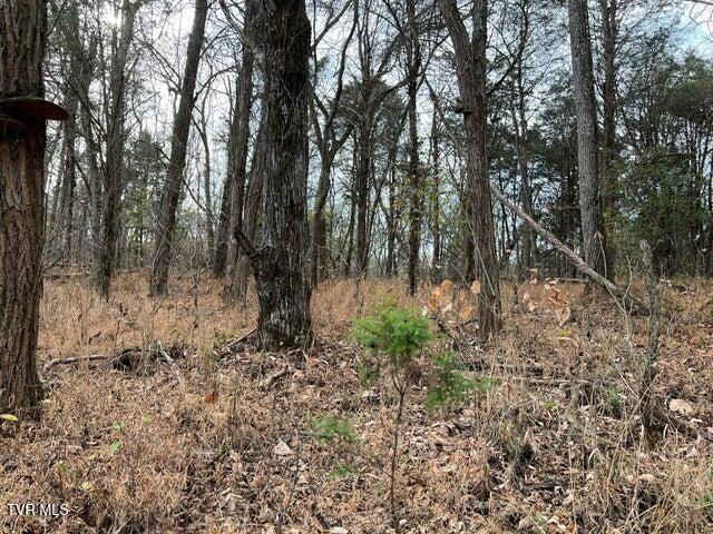 168 Buzzard Roost Road, Bulls Gap, Tennessee image 21