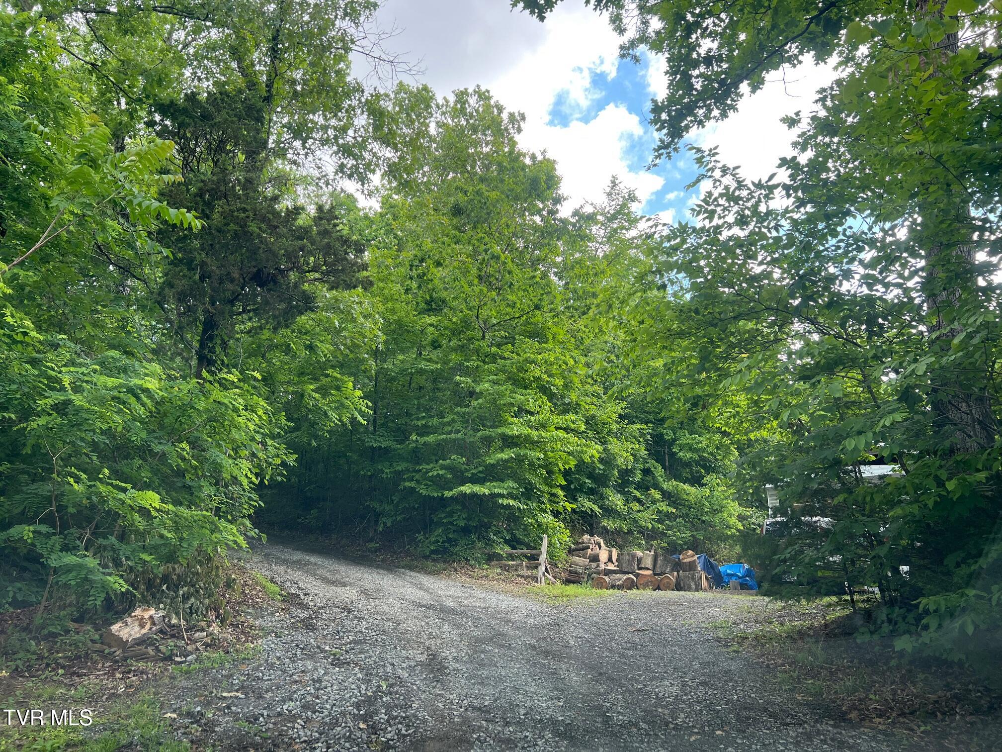168 Buzzard Roost Road, Bulls Gap, Tennessee image 37