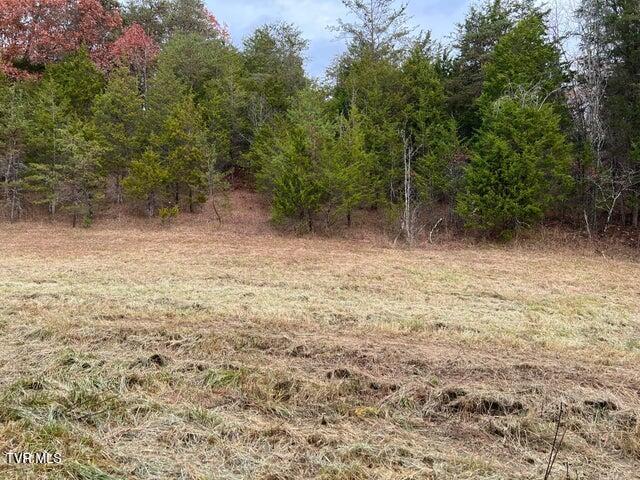 168 Buzzard Roost Road, Bulls Gap, Tennessee image 26