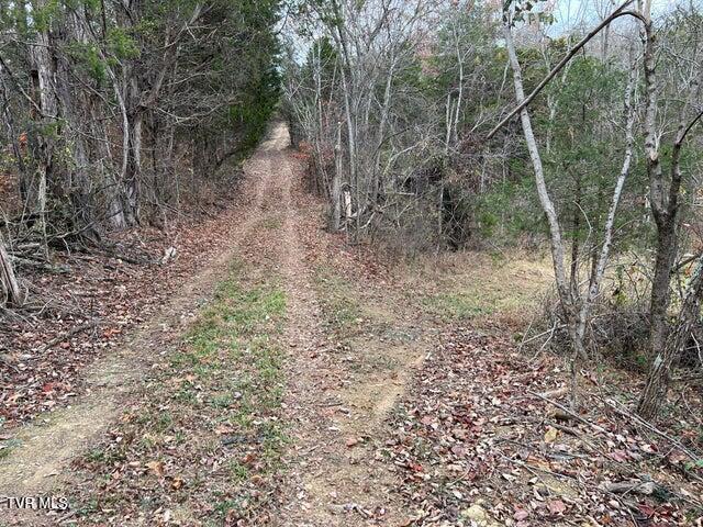 168 Buzzard Roost Road, Bulls Gap, Tennessee image 28