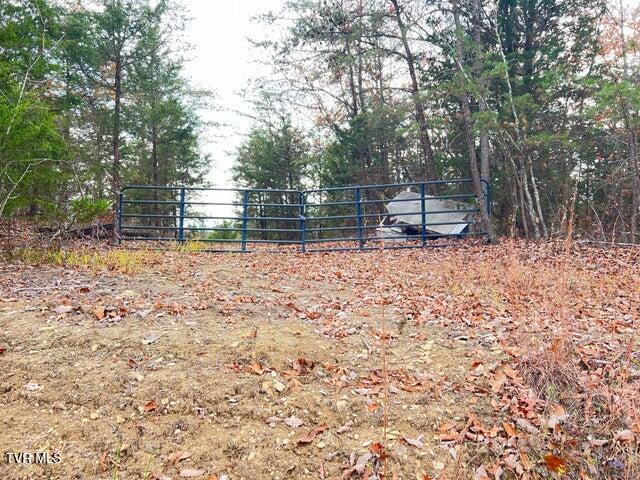 168 Buzzard Roost Road, Bulls Gap, Tennessee image 19