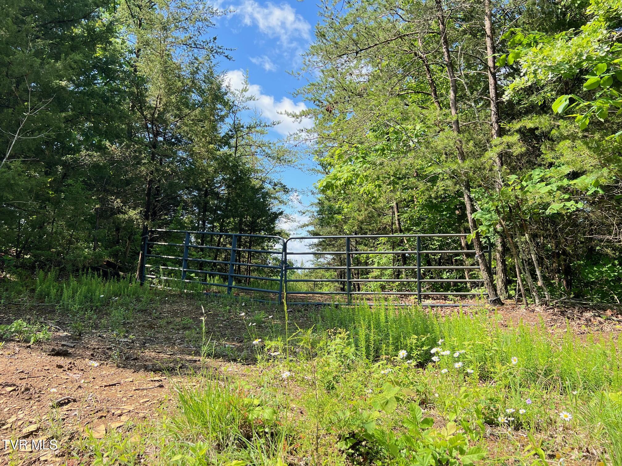 168 Buzzard Roost Road, Bulls Gap, Tennessee image 16