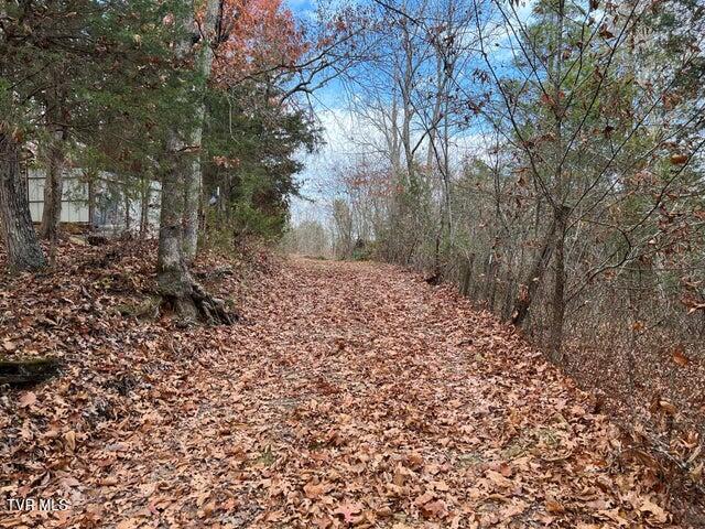 168 Buzzard Roost Road, Bulls Gap, Tennessee image 29