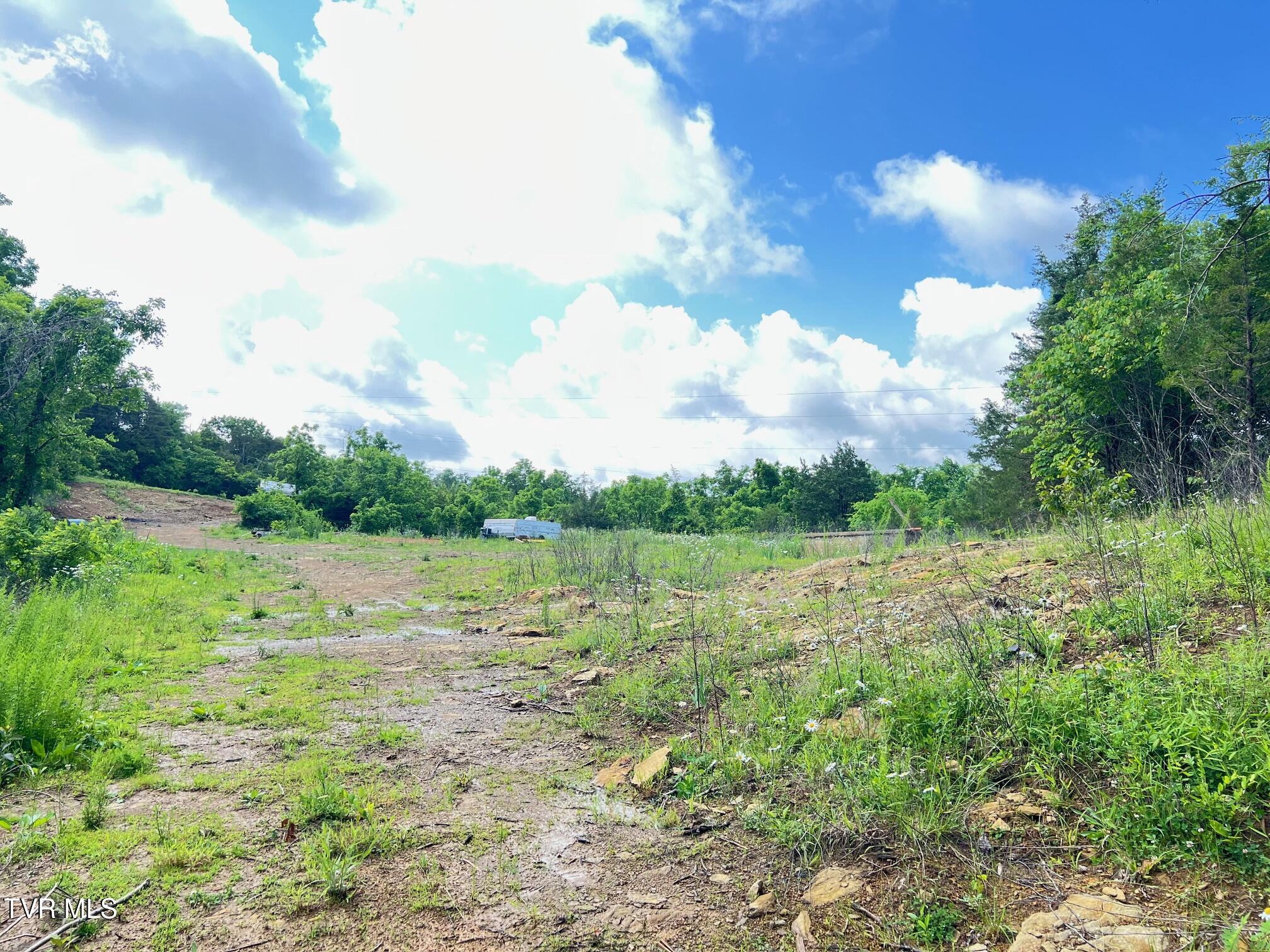 168 Buzzard Roost Road, Bulls Gap, Tennessee image 6