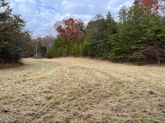 168 Buzzard Roost Road, Bulls Gap, Tennessee image 24