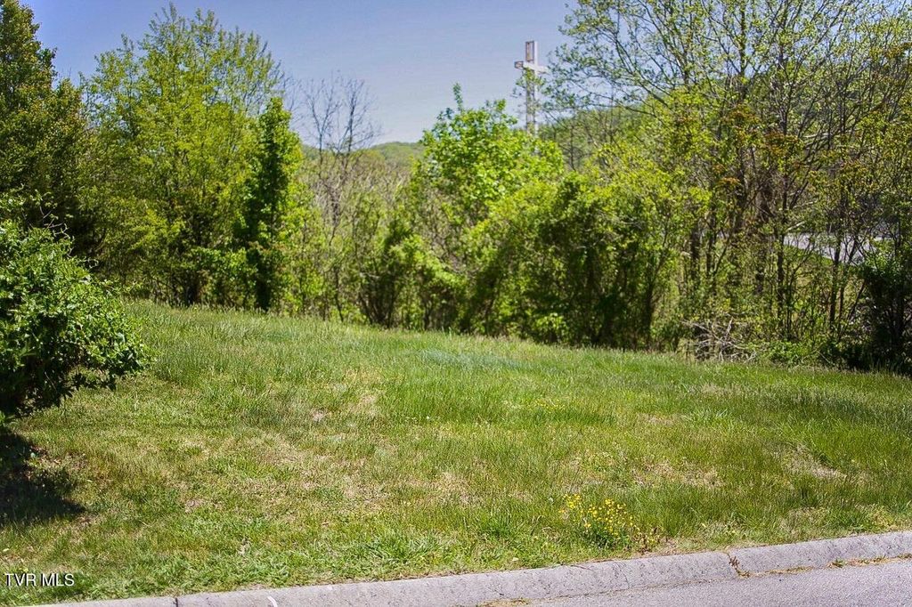 Photo of 100 Richmond Heights Road, Bristol, TN 37620 (MLS # 9994263)