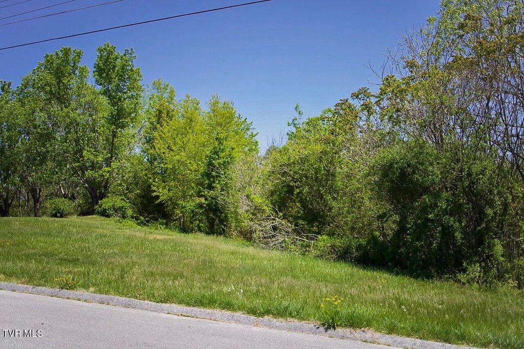 Photo of 100 Richmond Heights Road, Bristol, TN 37620 (MLS # 9994263)