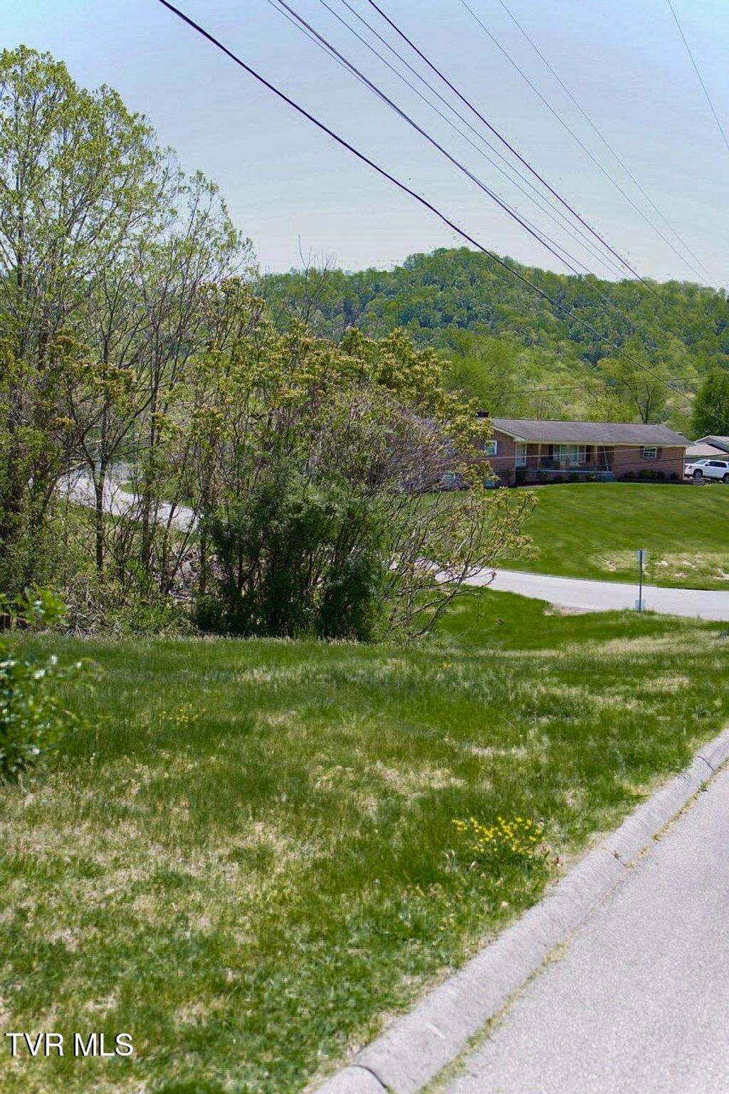 Photo of 100 Richmond Heights Road, Bristol, TN 37620 (MLS # 9994263)