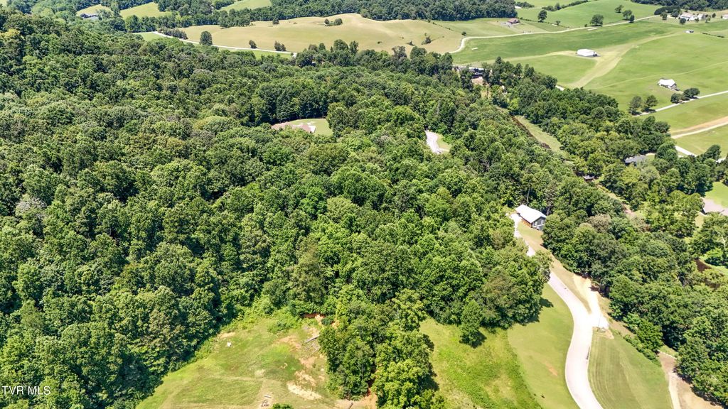 Photo of Tbd Tailwater Road, Bluff City, TN 37618 (MLS # 9994997)