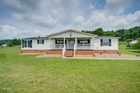 Photo of 324 Louise Lane, Blountville, TN 37617 (MLS # 9997456)
