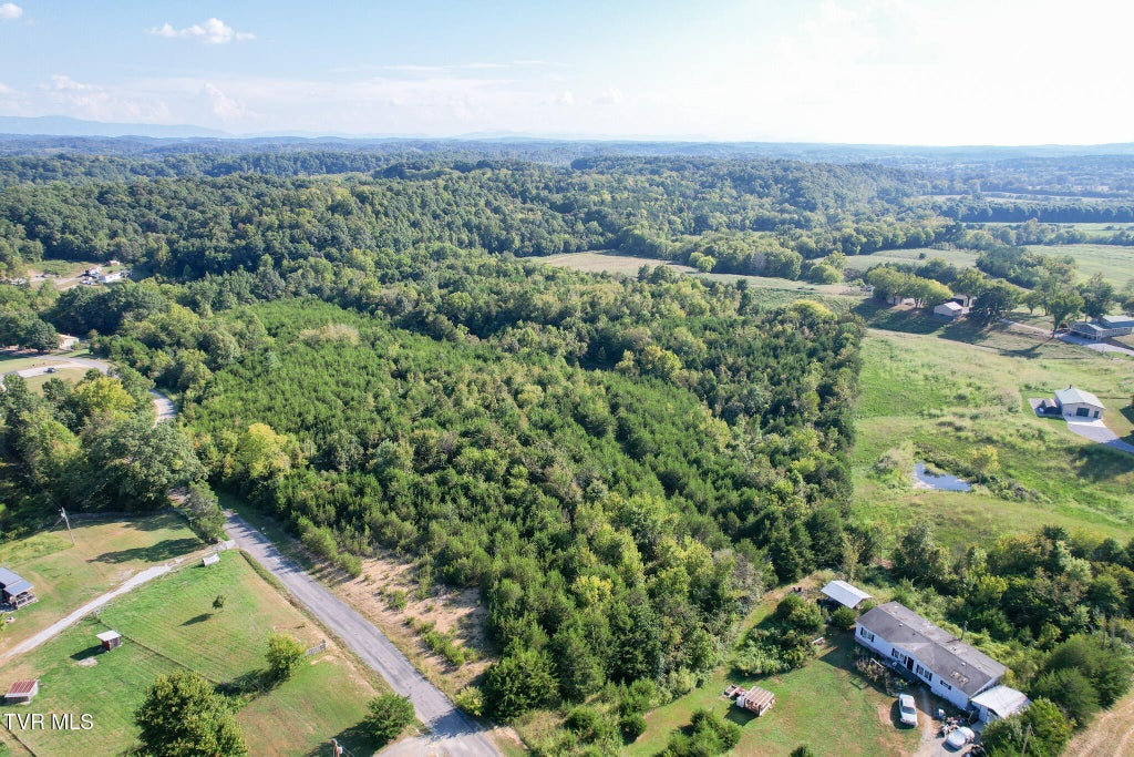 Photo of Tbd Ted Weems Road, Greeneville, TN 37745 (MLS # 10000589)