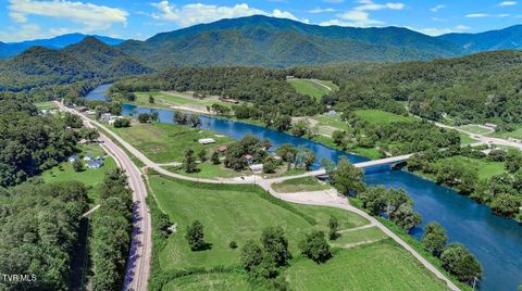 Vacant Land For Sale - 130 & 110 Only Way<br/> Cocke County, Del Rio, TN 37727