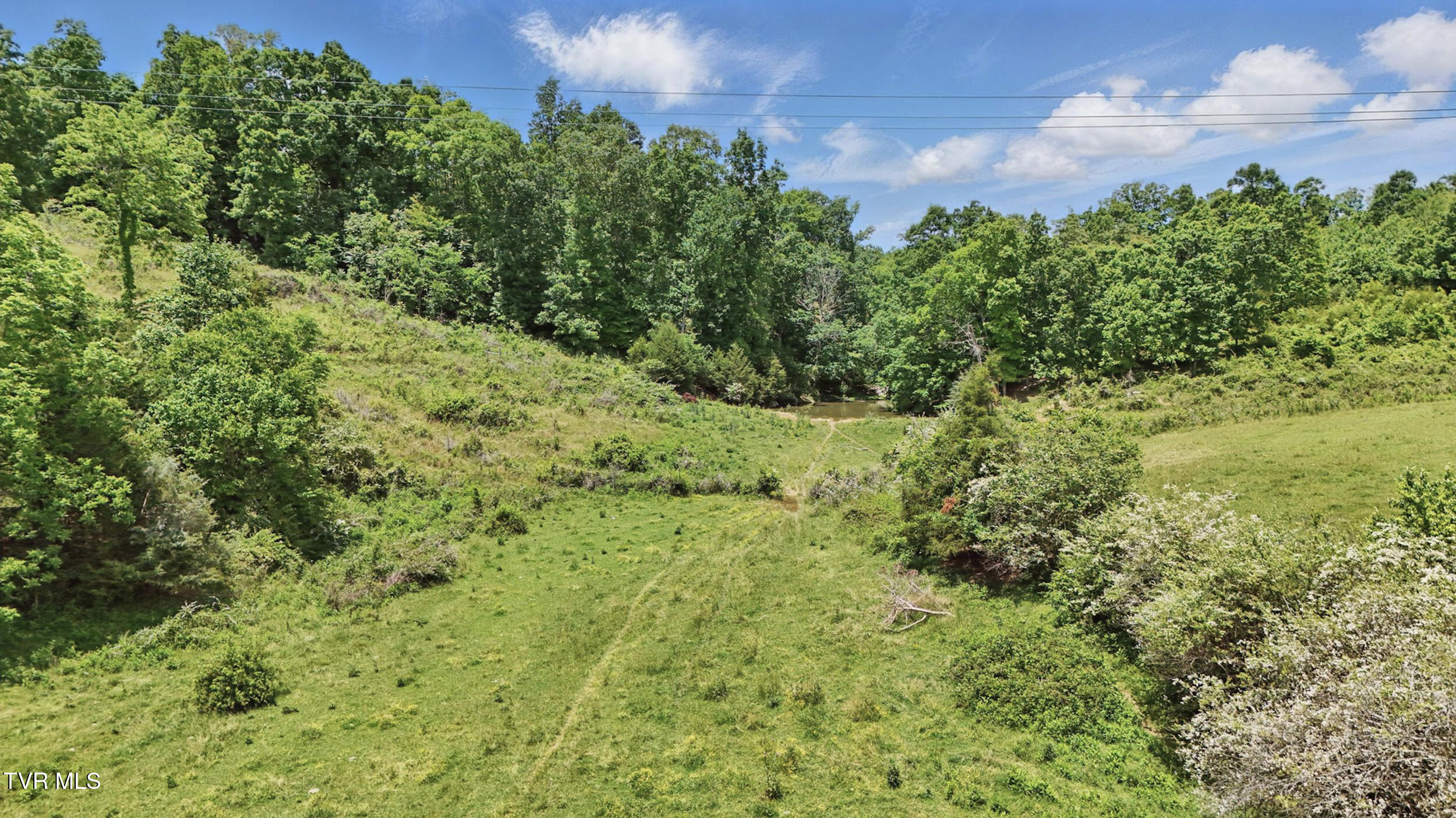 Tbd Old Baxter Road, Fall Branch, Tennessee image 5