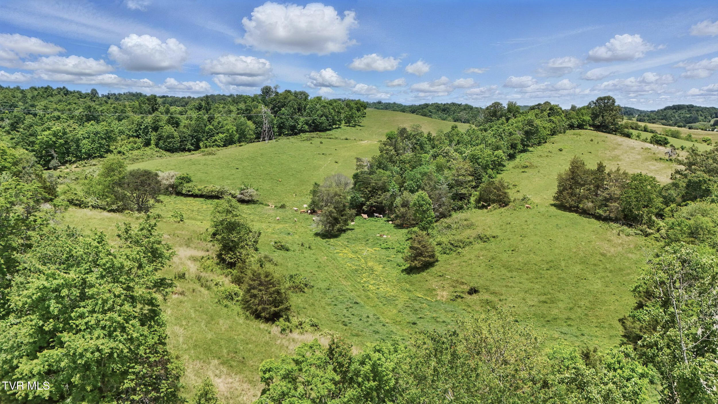 Tbd Old Baxter Road, Fall Branch, Tennessee image 10